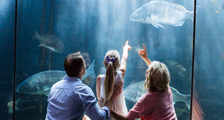 Aquariums and Marine Parks