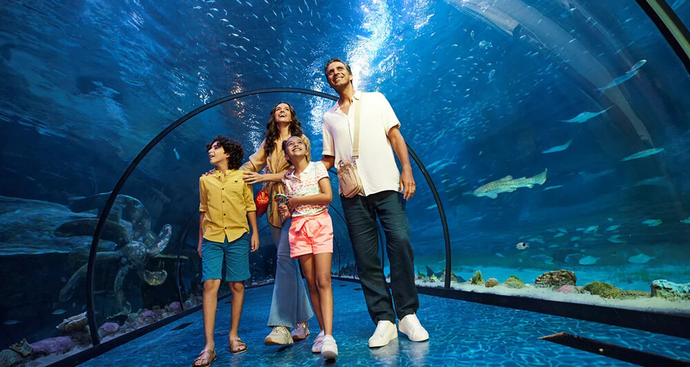 Best indoor attractions to visit UAE