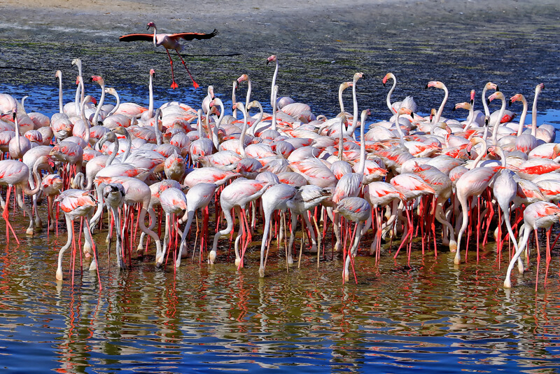 Places to Visit in Dubai gallery 7