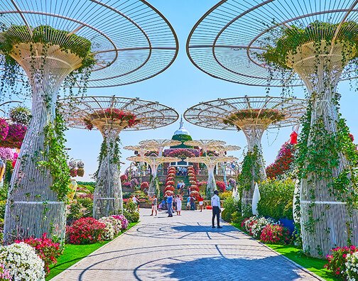 Dubai-buterfly-Garden-1