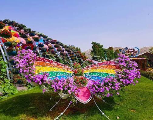 Dubai-buterfly-Garden-2