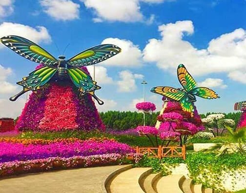 Dubai-buterfly-Garden-3
