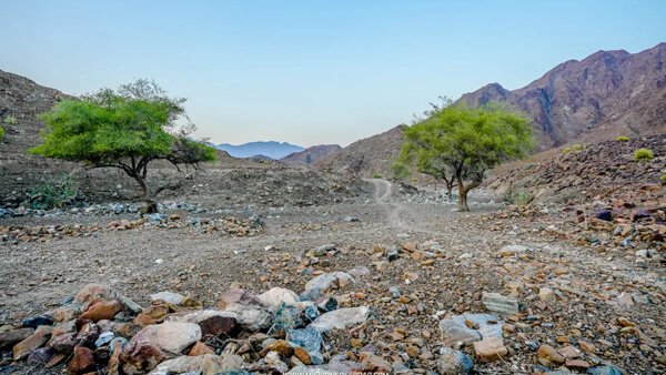 things-to-to-in-fujairah-gallery4-2